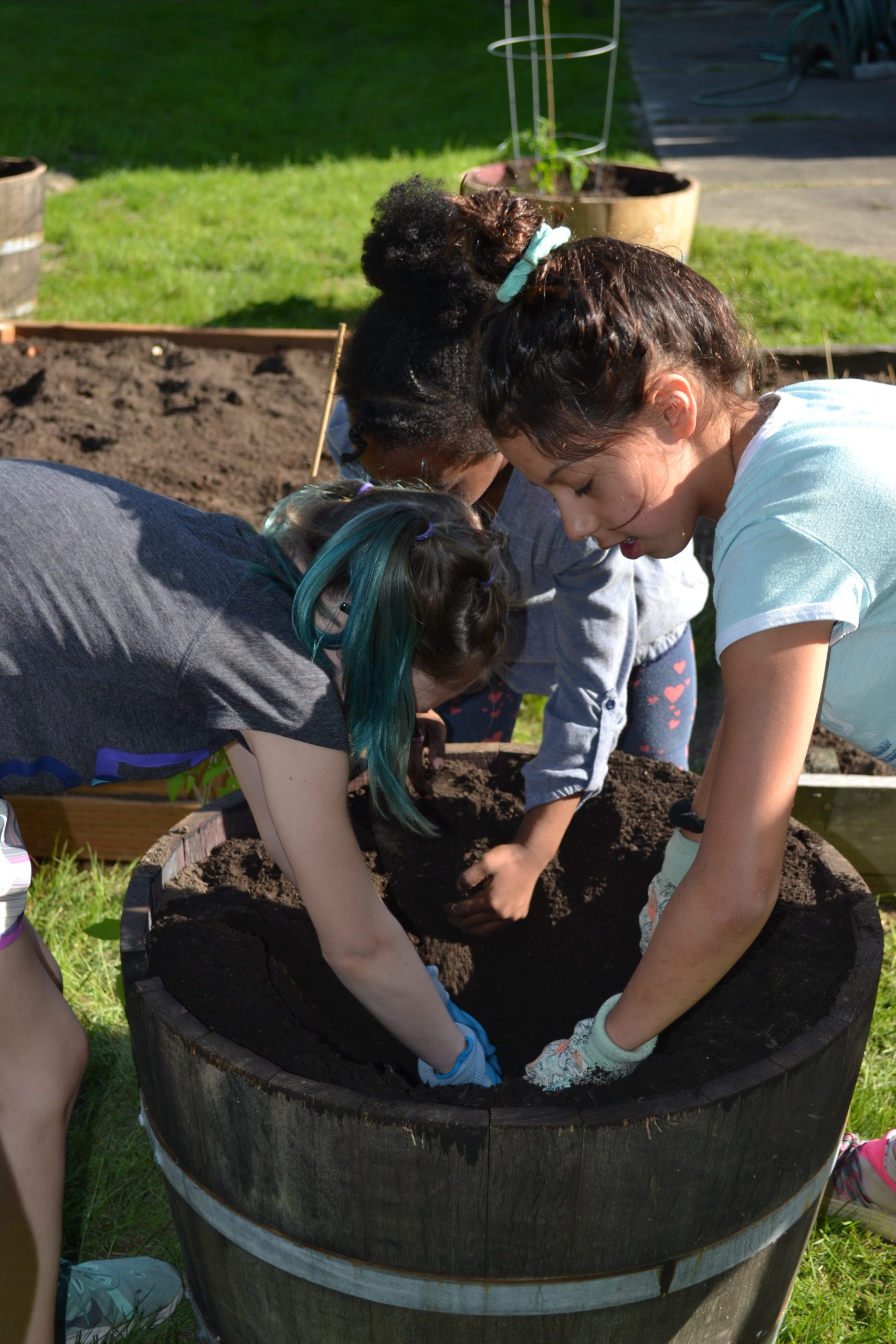 Kids gardening in Ecology Adventures